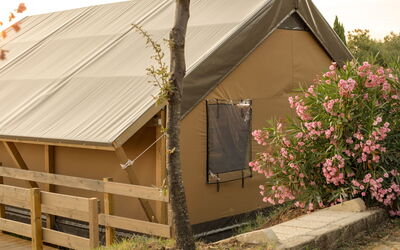 Feriebolig:&nbsp;Glampingtent Zeus 500.20