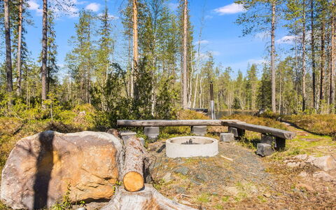 Kiehtäjän Kuohu: Naturligt Miljø, Træ, Naturlige Landskab, Plantesamfund, Landskab, Skov, Ødemark, Naturreservat, Woodland