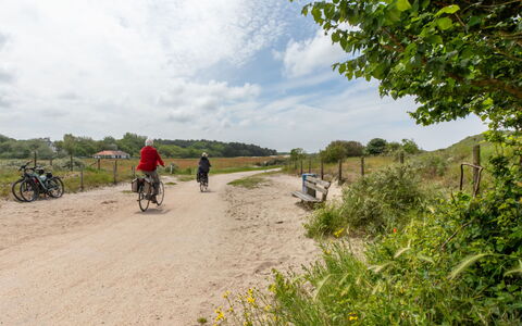 Horizon, Sea & Sun: Fritid, Cykel, Vej, Landskab, Sti, Økoregion, Græs-, Landdistrikt, Almindeligt