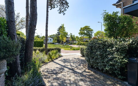 Residence Domburgse Duinen: Busk, Have, Bunddække, Walkway, Indkørsel, Landscaping, Flise, Vedplante, Skygge