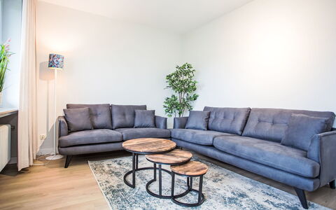 Rothaarsteig: Møbel, Couch, Lejlighed, Stue, Armlæn, Throw Pillow, Sofa Seng, Pude, Stueplante