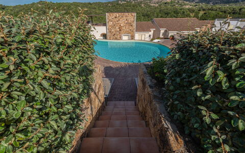 Baia Bianca Apartments Sardinia: Busk, Have, Stenmur, Hæk, Landscaping, Backyard