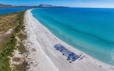 San Teodoro Apartments: Blå, Strand, Kyst, Hav, Coastal Og Oceaniske Landskabsformer, Kyst, Ocean, Turistattraktion, Bugt, Caribbean