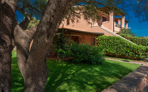 San Teodoro Apartments: Busk, Have, Estate, Landscaping, Skygge, Hacienda, Eco Hotel, Gård, Villa, Stuehus