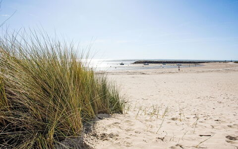 La Bernerie-En Retz 250: Naturligt Miljø, Strand, Kyst, Sand, Coastal Og Oceaniske Landskabsformer, Kyst, Hav, Økoregion, Ocean