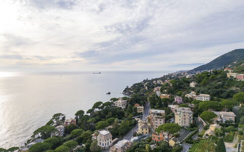 Casa Annalù With Garden, Wifi, Bogliasco: Træ, Kyst, Boligområde, Hav, Coastal Og Oceaniske Landskabsformer, Horisont, Landskab, Ocean, Fugleperspektiv, Luftfotografering
