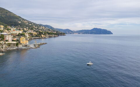 Casa Annalù With Garden, Wifi, Bogliasco: Blå, Vand, Krop Af Vand, Bjergrige Landskabsformer, Kyst, Bjerg, Coastal Og Oceaniske Landskabsformer, Horisont, Hav, Bakke