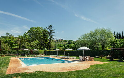 Il Noceto: Træ, Svømmepøl, Busk, Udvej, Have, Eco Hotel, Landscaping, Skygge, Plantation, Hacienda