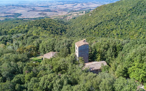 Villa Linchiano: Naturligt Miljø, Natur, Landskab, Skov, Jungle, Ruiner, Slot, Valdivian Tempereret Regnskov