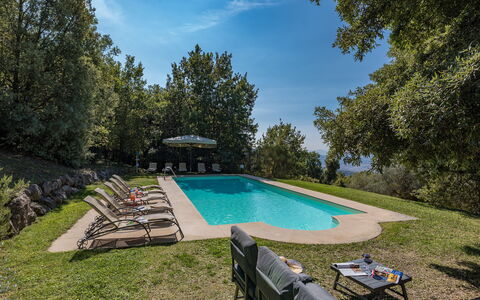 Villa Linchiano: Blå, Svømmepøl, Træ, Skygge, Have, Landscaping, Udendørs Møbler, Eco Hotel, Evergreen