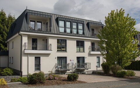 Family Lodge: Skydevindue, Estate, Altan, Sidespor, Historisk Hus, Villa, Dagslys, Gips
