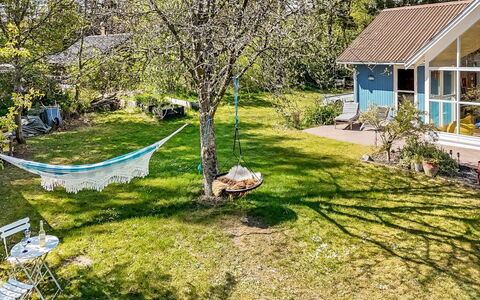 Akule - 6Km from the Sea: Busk, Have, Sommerhus, Lawn, Bunddække, Forår, Backyard, Skygge, Gård