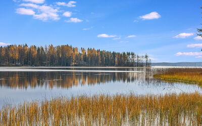 Mänty-Linna