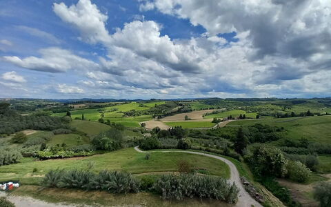 Ely Apartment In Villa, Wifi, Terricciola, Pisa: Himmel, Sky, Naturlige Landskab, Græs-, Horisont, Almindeligt, Økoregion, Landskab, Mark, Land Lot