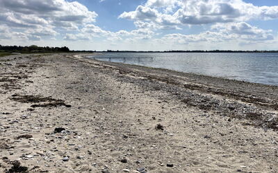 Janick - 150M from the Sea