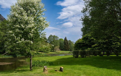 Loch Ness Granary: Afdeling, Træ, Blad, Natur, Vegetationen, Busk, Land Lot, Forår, Have, Bunddække