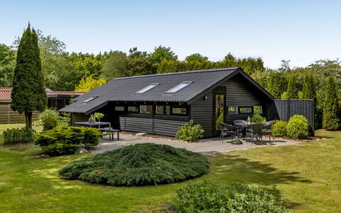 Reino - 30Km from the Sea: Tag, Hus, Hjem, Sommerhus, Dør, Sidespor, Dæk, Veranda, Planke, Hårdttræ
