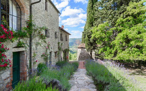 Villa Poggio La Croce: Busk, Have, Bunddække, Mursten, Landscaping, Stenmur, Botanisk Have, Plantation
