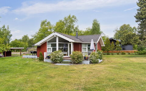 Hjalmine - 225M from the Sea: Vegetationen, Busk, Forår, Sommerhus, Have, Skygge, Backyard, Gård, Stol