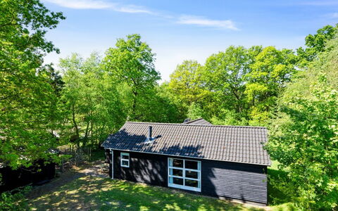 Tomine - from the Sea: Sommerhus, Garden Bygninger, Skur, Have, Woodland, Skygge, Bjælkehytte, Gård, Stuehus, Sidespor