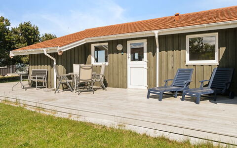 Suometar - 90M from the Sea: Græs, Græs-, Land Lot, Sommerhus, Landdistrikt, Eng, Garden Bygninger, Have, Skur