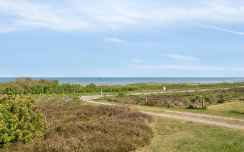 Suometar - 90M from the Sea: Græs, Græs-, Land Lot, Sommerhus, Landdistrikt, Eng, Garden Bygninger, Have, Skur