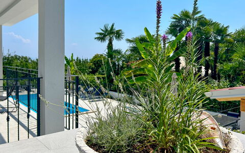 Lovran 127: Have, Skygge, Landscaping, Eco Hotel, Udendørs Møbler, Stueplante