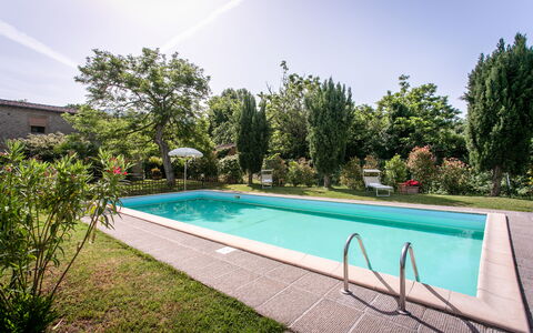 Villa Gelsi: Svømmepøl, Have, Udvej, Backyard, Landscaping, Estate, Skygge, Hacienda, Eco Hotel, Gård