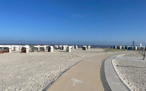 Krebs: Landskab, Sand, Strand, Kyst, Kyst