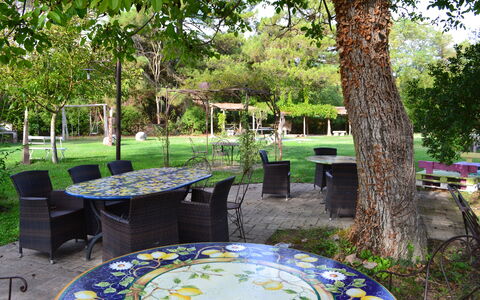 Appartamento Vele, Wifi, Near Perugia: Møbel, Bord, Udendørs Møbler, Stol, Have, Udendørs Bord, Skygge, Lawn, Forår, Backyard