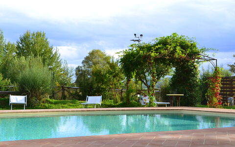 Appartamento Pietra Viva, Wifi, Near Perugia: Svømmepøl, Udendørs Møbler, Udvej, Have, Skygge, Fritid, Eco Hotel, Landscaping, Backyard