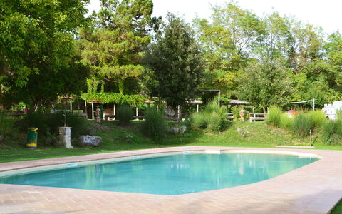 Appartamento Poggiolo, Wifi, Near Perugia: Svømmepøl, Træ, Udvej, Skygge, Have, Udendørs Møbler, Fritid, Backyard, Landscaping, Water Feature