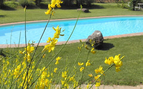Appartamento Rustico, Wifi, Perugia: Gul, Forår, Have, Lawn, Landscaping, Gård, Parkere, Wildflower, Botanisk Have