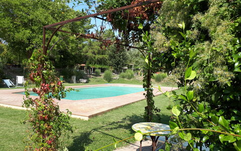 Appartamento Rustico, Wifi, Perugia: Busk, Have, Skygge, Forår, Backyard, Gård, Lawn, Landscaping, Blomsterkrukke