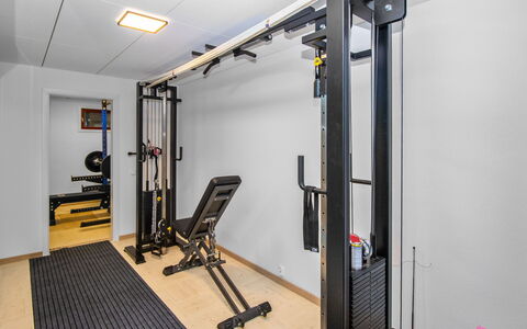 Tuiskukuru a: Træningsudstyr, Gym, Øvelse Maskine, Gulvbelægning, Etage, Vægtløftning Machine, Værelse, Hårdttræ, Trægulve, Bænk