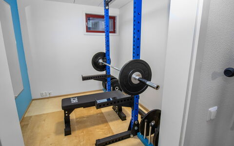 Tuiskukuru a: Gulvbelægning, Værelse, Træningsudstyr, Maskine, Gym, Hårdttræ, Vægtløftning Machine, Øvelse Maskine