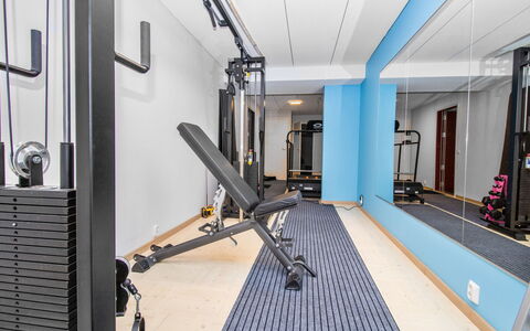 Tuiskukuru a: Gulvbelægning, Etage, Øvelse Maskine, Indretning, Træningsudstyr, Gym, Møbel, Værelse, Gardin