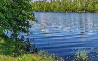 Mäntyrinne