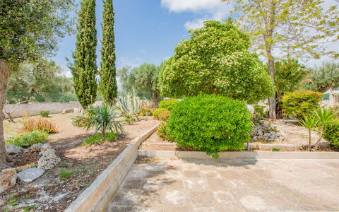 Villa Vera: Busk, Have, Plantesamfund, Bunddække, Vedplante, Landscaping, Botanisk Have, Walkway, Skygge