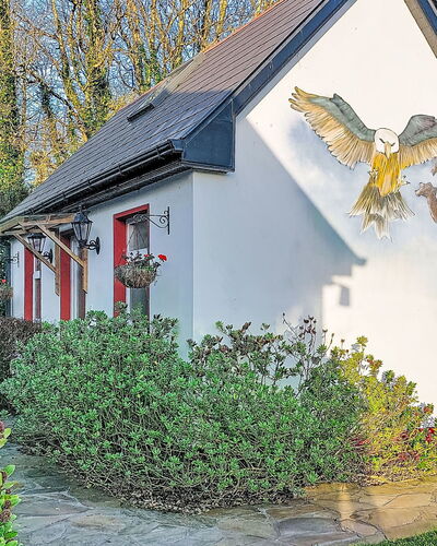 Eagle Nest: Busk, Hus, Sommerhus, Forår, Have, Maling, Gård, Sidespor, Landscaping, Backyard