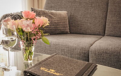 Saas-Fee 1182: Textile, Couch, Møbel, Stue, Throw Pillow, Pude, Pude, Sengetøj, Stueplante