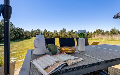 Danika - 1.5Km from the Sea: Hus, Hjem, Tag, Sommerhus, Estate, Landscaping, Garden Bygninger, Sidespor, Stuehus