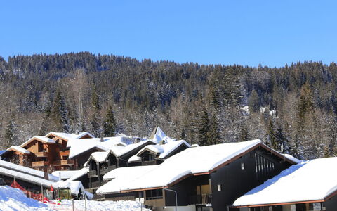 Les Sitelles: Sne, Vinter, Geologiske Fænomen, Fryser, Hældning, Hill Station, Skisportssted, Piste, Glacial Landskabsform, Sommerhus
