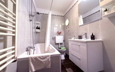 Apartment Niko, Private Garden, Wifi - Opatija: Sanitærarmatur, Badeværelse, Håndvask, Indretning, Gulvbelægning, Etage, Tap, Vvs, Badeværelsesvask, Badeværelsesskab