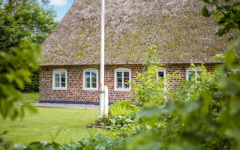 Tuki - 10Km from the Sea