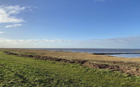 Tuki - 10Km from the Sea