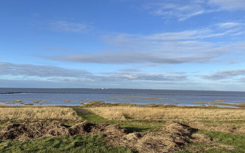 Tuki - 10Km from the Sea