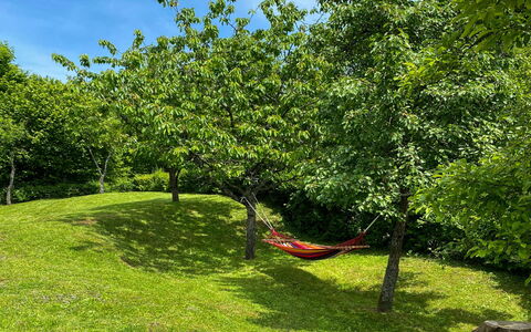 Brod Moravice 102: Afdeling, Græs-, Have, Bunddække, Lawn, Bagagerum, Skygge, Vedplante, Eng
