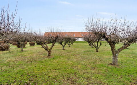 Markus - 300M from the Sea: Fritid, Reklame, Parkere, Banner, Skilt, Sti