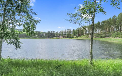 Katinkulma 1: Vandressourcer, Vand, Krop Af Vand, Grøn, Træ, Naturligt Miljø, Natur, Naturlige Landskab, Bank